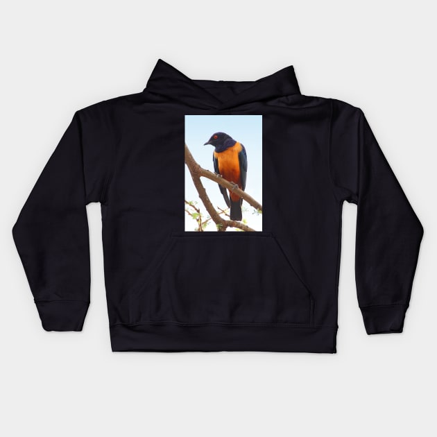 Hildebrandt's Starling, Serengeti, Tanzania Kids Hoodie by Carole-Anne